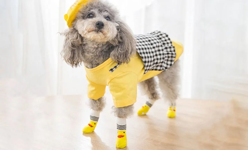 Dog Booties Socks in Cute Designs