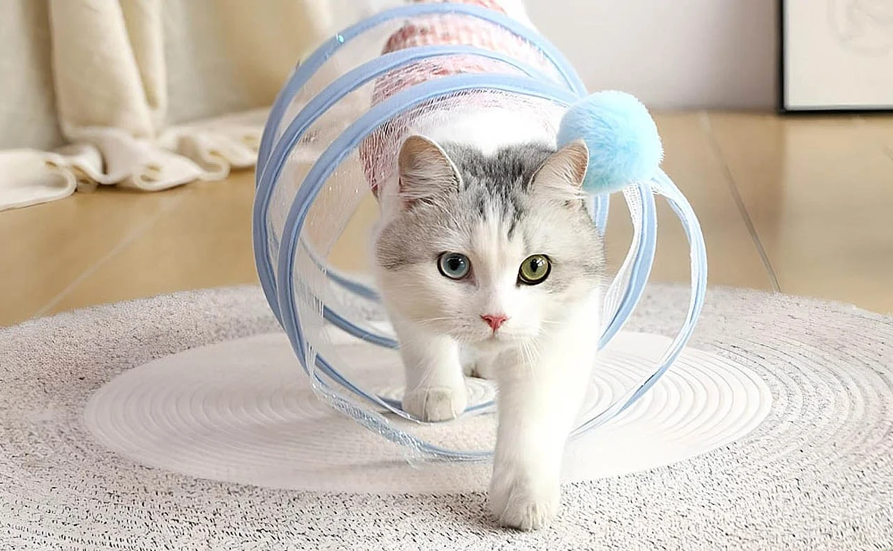 Cat Play Tunnel for Indoor Play