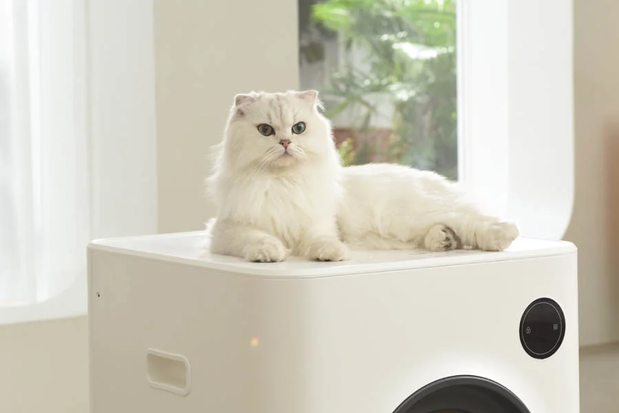 top rated cat litter box