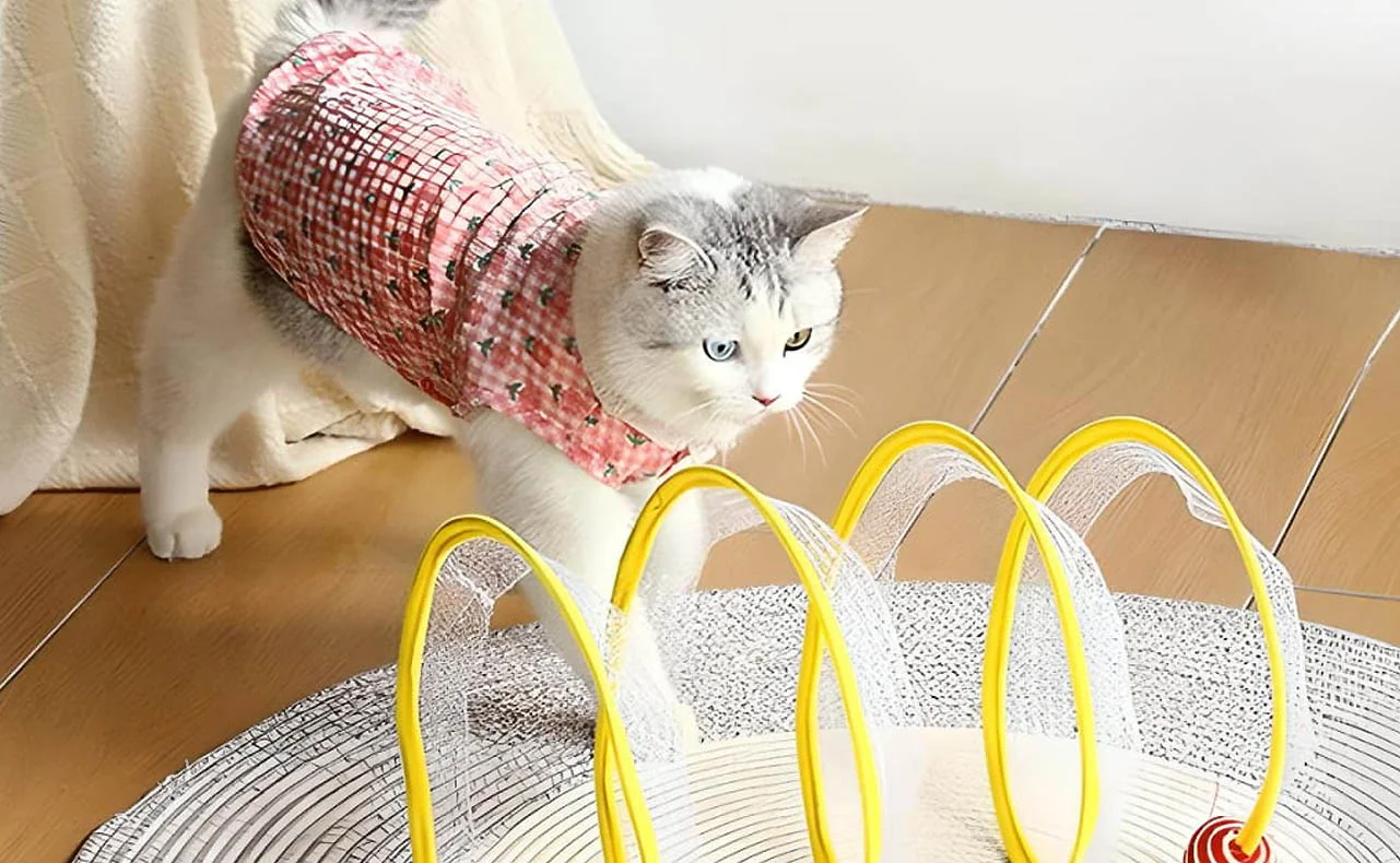 Cat Play Tunnel for Indoor Play