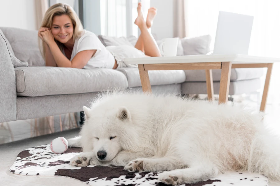 Efficient Deshedding Glove for Pets